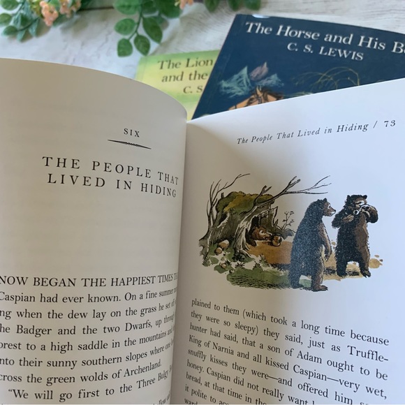 Narnia box set of seven books - Picture 5 of 8